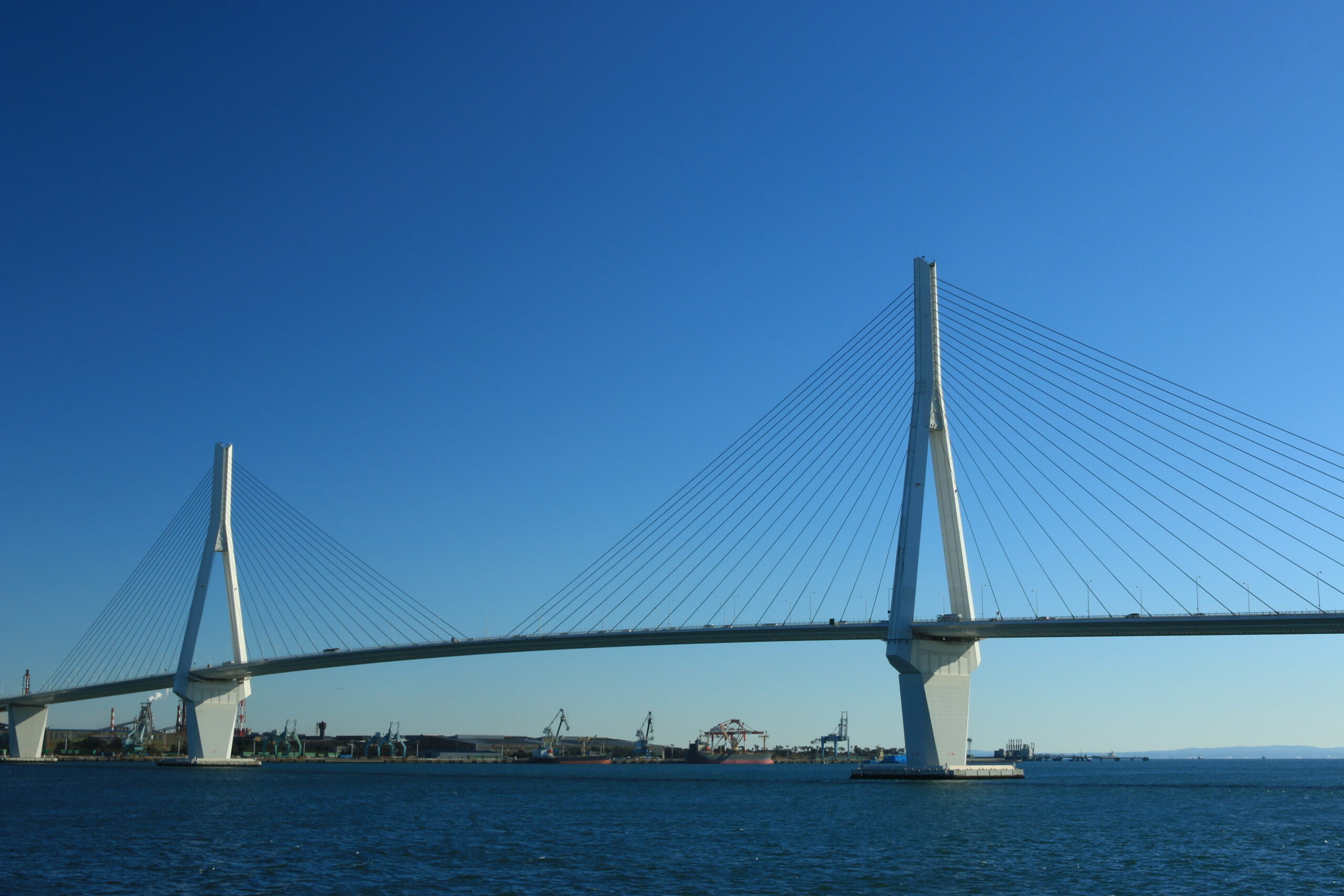 地域密着の取り組みについて