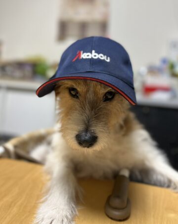 赤帽高浦運輸の看板犬